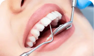 periodontia